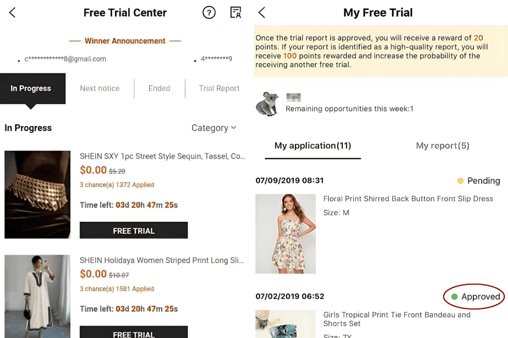 Shein Testing Program