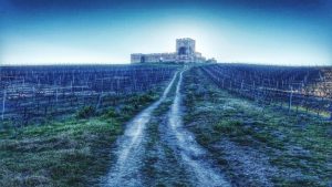 Blockchain en la Cadena de Suministro Española 2025: Seguridad y Trazabilidad Blockchain en la Cadena de Suministro Española 2025: Seguridad y Trazabilidad - Cover Image