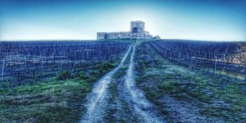 Blockchain en la Cadena de Suministro Española 2025: Seguridad y Trazabilidad - Cover Image