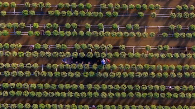 Transformación Agrícola en España: El Impacto de la Tecnología