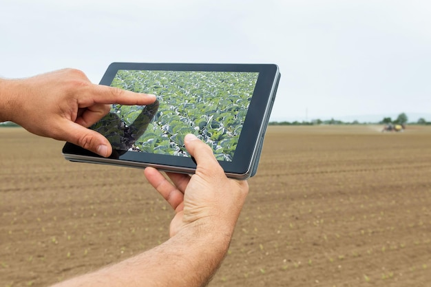 Close-up of a soil moisture sensor monitoring water levels in a field, displaying real-time data on a tablet screen, showcasing how farmers use technology to optimize irrigation.