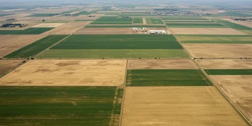 Global Food Security Challenges: U.S. Policy Actions for 2026 Vast agricultural fields stretching towards a horizon, illustrating global food production and the challenge of food security.
