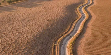 Campos agrícolas áridos y secos en España afectados por la escasez hídrica
